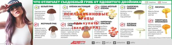 apvp Алзамай