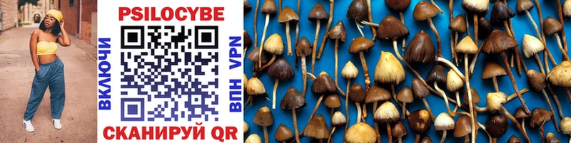 Галлюциногенные грибы Psilocybe  Козьмодемьянск 